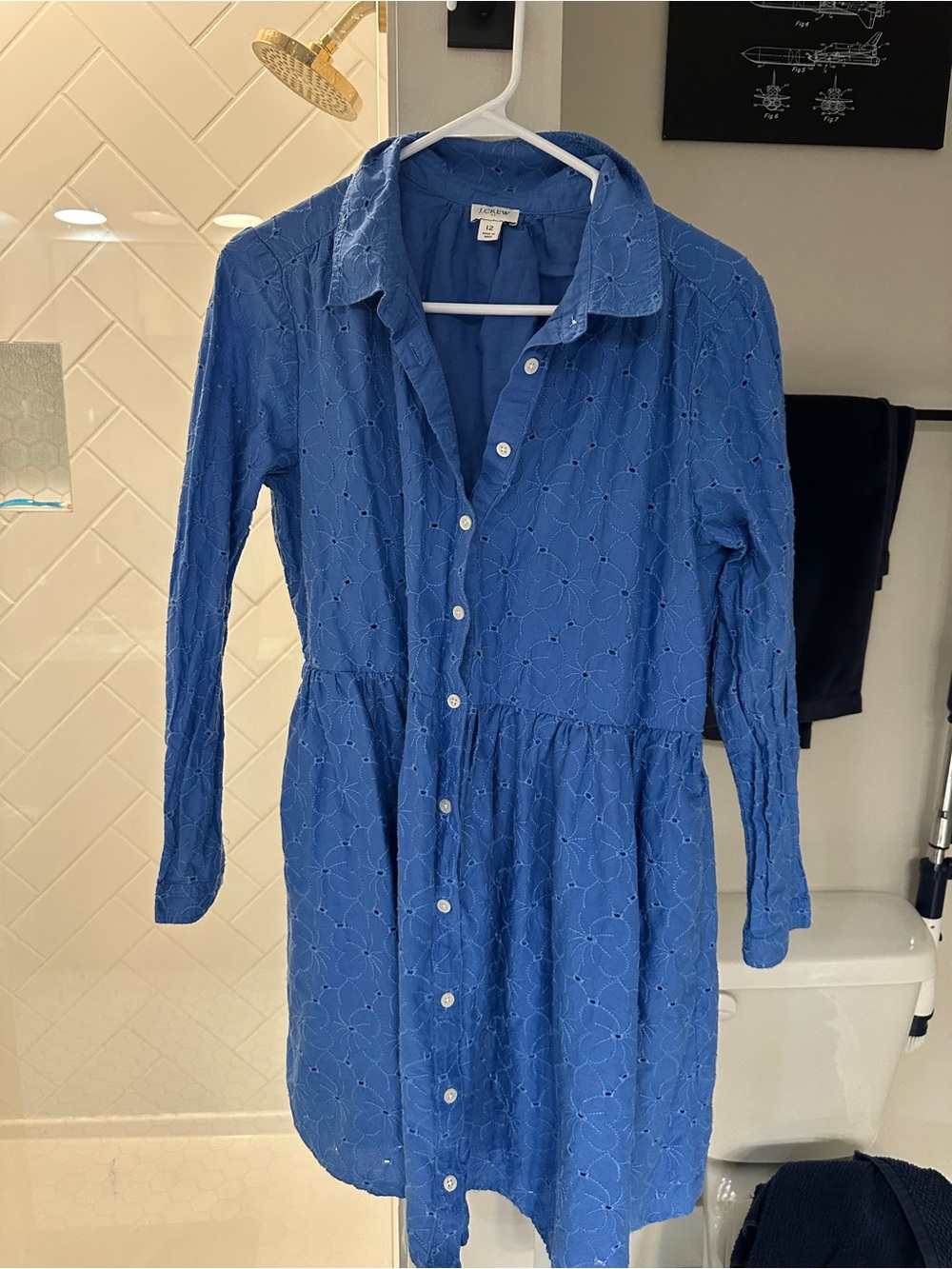 J. Crew Blue Eyelet Long-Sleeve Shirtdress